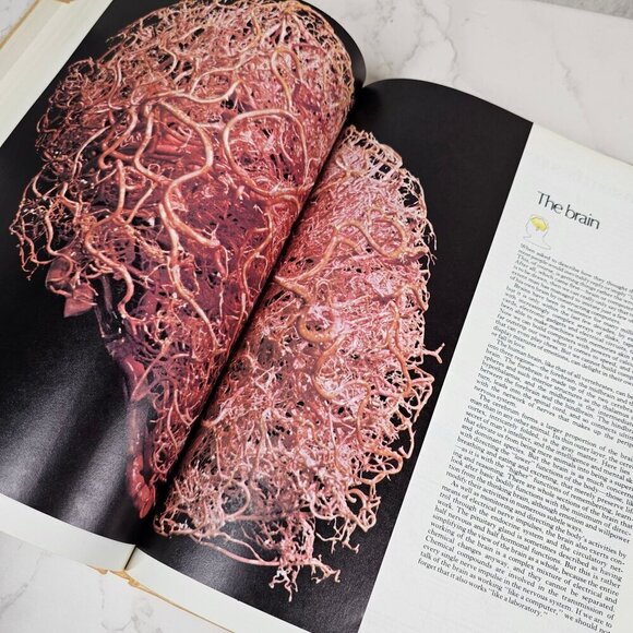 1980‎ Time Presents The Rand McNally Atlas Of The Body Rand McNally Hardcover - Picture 8 of 10